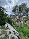 Kokkino Chorio Grundstück mit Meerblick in berühmter Gegend auf Kreta Grundstück kaufen